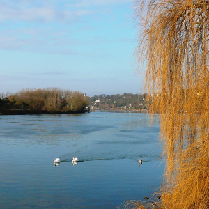 La Frette sur Seine  ( photo : F Detry )