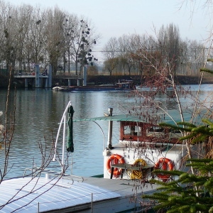 La Frette sur Seine  ( photo : F Detry )