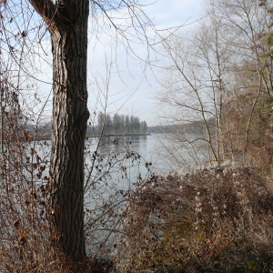 La Frette sur Seine  ( photo : F Detry )