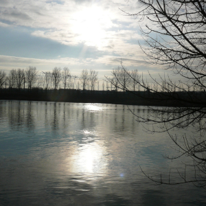 La Frette sur Seine  ( photo : F Detry )