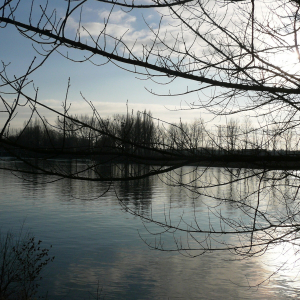 La Frette sur Seine  ( photo : F Detry )
