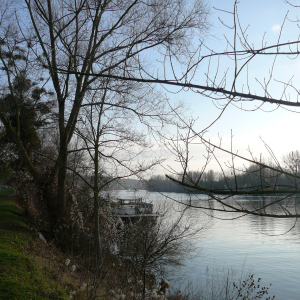 La Frette sur Seine  ( photo : F Detry )