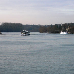 La Frette sur Seine  ( photo : F Detry )