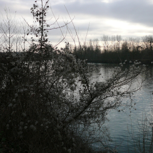 La Frette sur Seine  ( photo : F Detry )