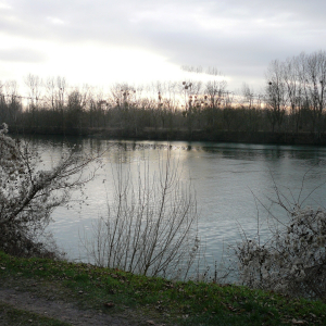 La Frette sur Seine  ( photo : F Detry )