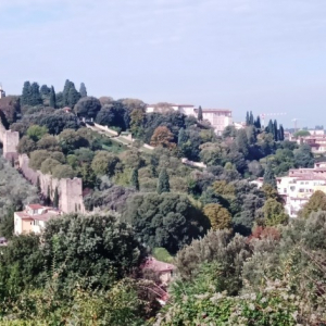 Des vestiges des remparts de Florence (photo F. Detry )