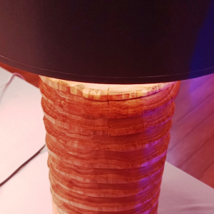 Luc WILLEMS ( Création de lampes en bois )