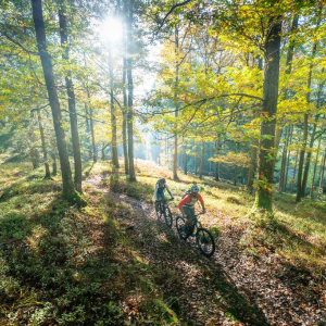 MTB_Hertogenwald_033(c)www.ostbelgien.eu_Dennis_Stratmann