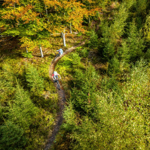MTB_Tour_1_Eupen_Hertogenwald_013©www.ostbelgien.eu_Dennis_Stratmann