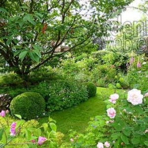 Jardins en Pays de Liège.