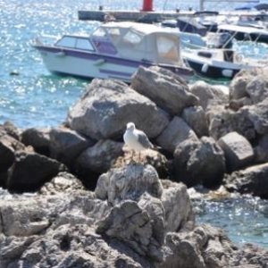 Opatija. Détente en Croatie