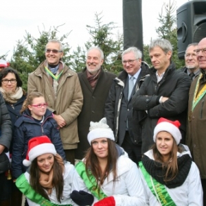 Foret de sapins namurois a Oostduinkerke, Coxyde