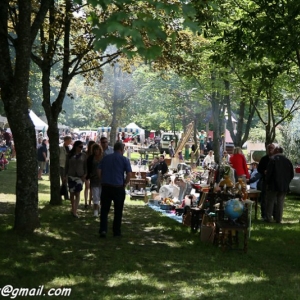 Fete du cheval, Hargnies