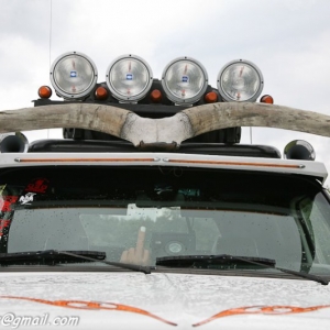 Rebel of Road