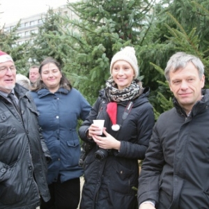 Foret de sapins namurois a Oostduinkerke, Coxyde