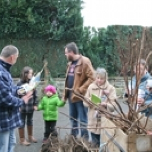 Distribution arbustes fruitiers Gedinne Ecolo