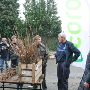 Distribution arbustes fruitiers Gedinne Ecolo
