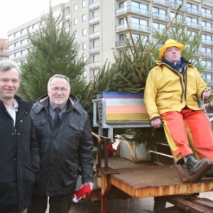 Foret de sapins namurois a Oostduinkerke, Coxyde