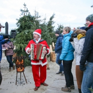 Foret de sapins namurois a Oostduinkerke, Coxyde