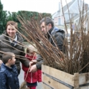 Distribution arbustes fruitiers Gedinne Ecolo