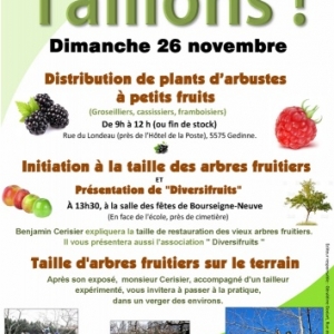 Taillons !