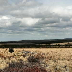 Hautes Fagnes drapeau rouge