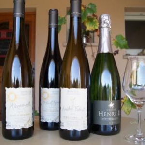 Domaine Oury