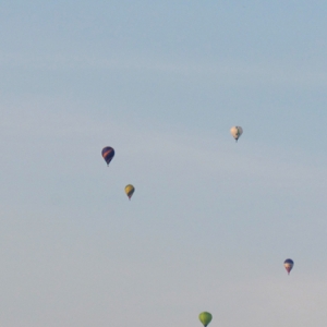 BELGIAN BALLOON TROPHY 2016 42