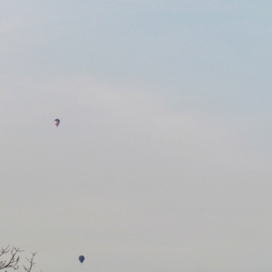 BELGIAN BALLOON TROPHY 2016 47