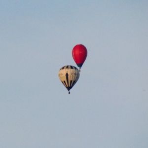 BELGIAN BALLOON TROPHY 2016 48