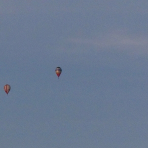 BELGIAN BALLOON TROPHY 2016 44