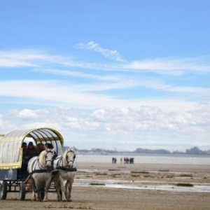 Baie de Somme