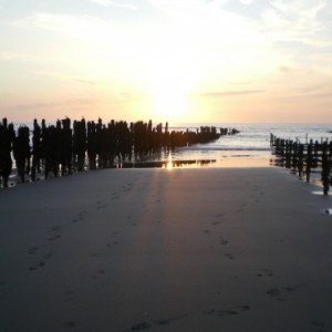 Baie de Somme