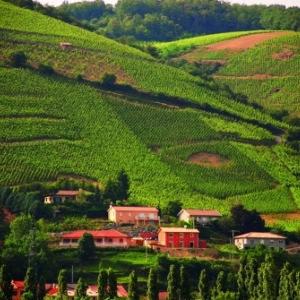 Isère, le vignoble