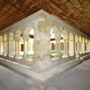Vienne, Vin
