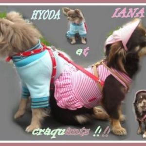 Mannequins pour "L'univers animalier"