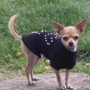 laly en garde robe paris