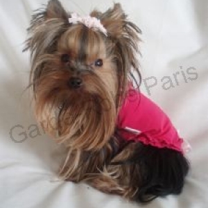 GARDE ROBE PARIS " CREATEUR "