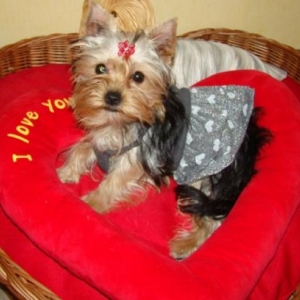 jupe " Petit coeur"