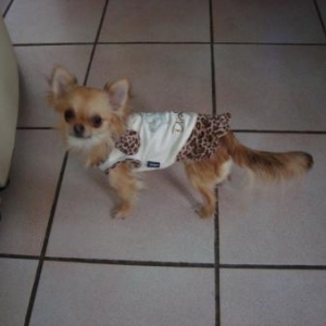 Mannequins pour "L'univers animalier"