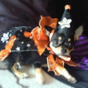 shana deguisee pour haloween