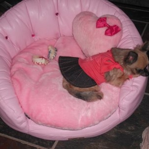 chanel avec sa robe dobaz et son nouveau salon rose