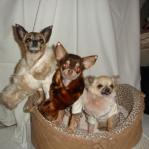 gretty lindsay et esperance