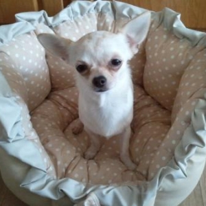 Juicy" creation de Lola"