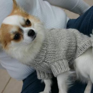 E.T vous presente le pull milkendpapper