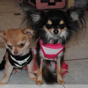 hyoda et jade