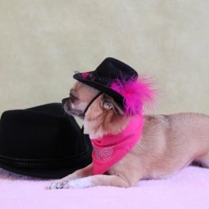 diabel avec son chapeau "creation de lola"