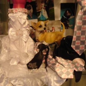 Vêtements de cérémonie 