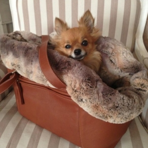 sac cuir 220 euros