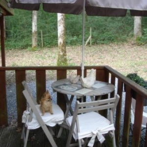 Hotton sur Ourthe - dans les Ardennes  " Le chalet Finlandais "
